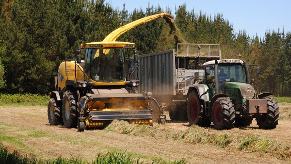 Actualización sobre la calidad del ensilado de hierba