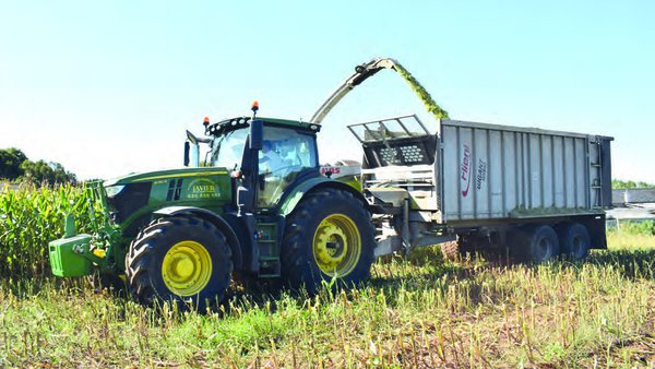 Ensilados de calidad: objetivos más allá de la conservación