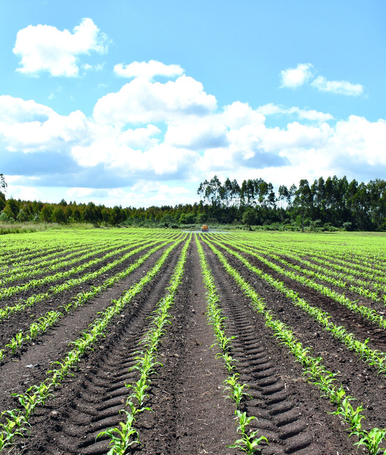 Autorízase o pago de 300 millóns de euros en axudas aos agricultores polo incremento do prezo dos fertilizantes