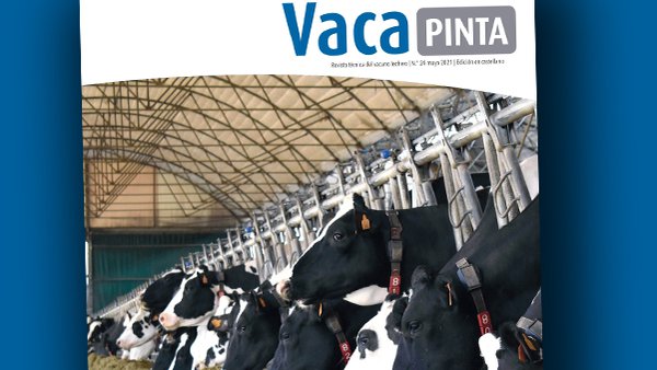 Vaca Pinta 24, ya disponible en digital
