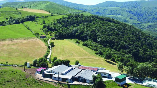 Análisis de la viabilidad económica del vacuno lechero en Cantabria según el sistema de alimentación