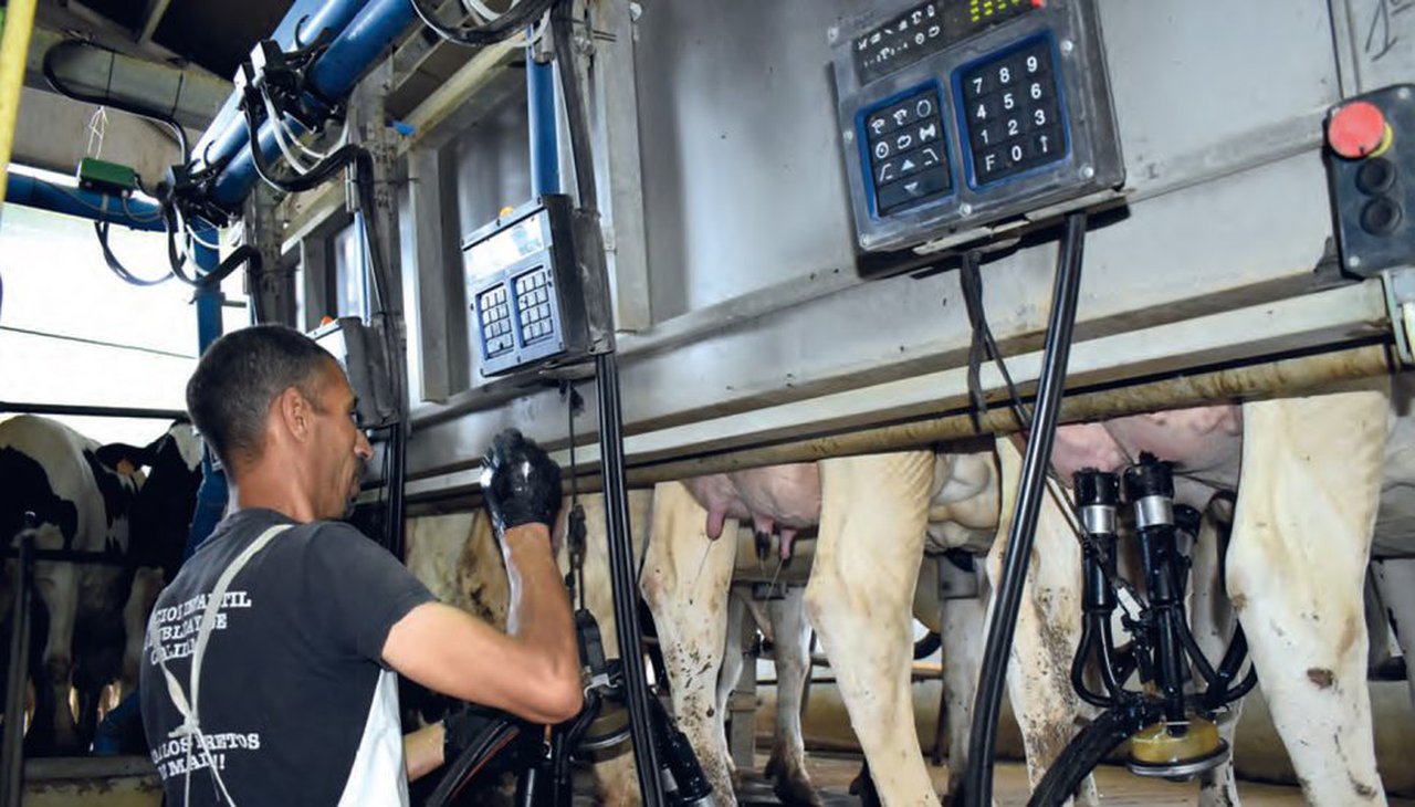 Bienestar laboral en granjas de vacuno lechero