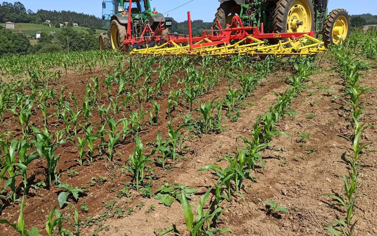 Identificación de oportunidades en el control mecánico de las malas hierbas