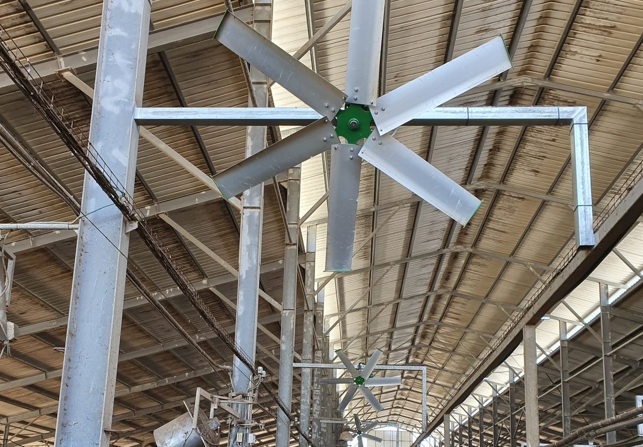 La industria láctea china está aprendiendo a lidiar con el estrés por calor