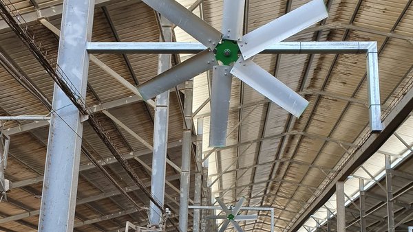 La industria láctea china está aprendiendo a lidiar con el estrés por calor