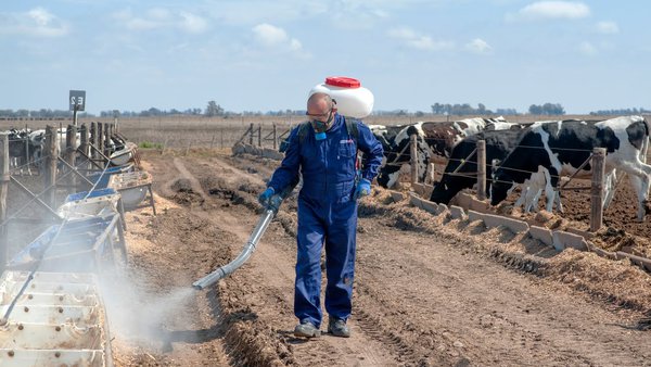 Combatir las moscas de manera sustentable en lugares de difícil acceso, parques, jardines y clubes también es posible