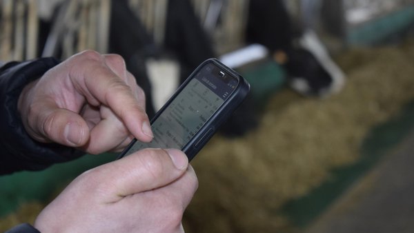 Trámites burocráticos de los ganaderos de leche mediante el uso de las TIC