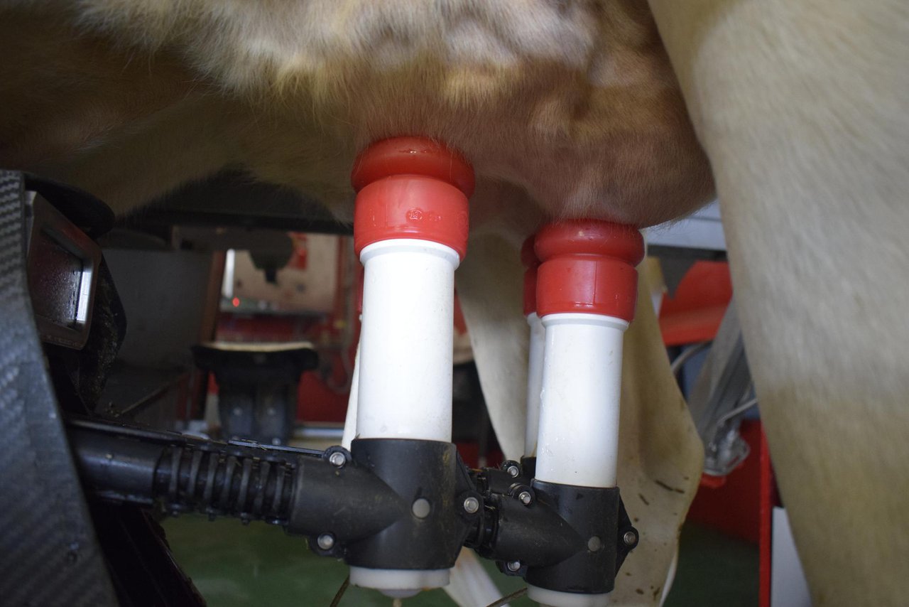 La producción de leche en Galicia desde la perspectiva del control lechero