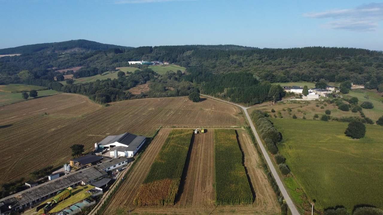Silo de maíz: un análisis avanzado permitirá sacarle el máximo provecho