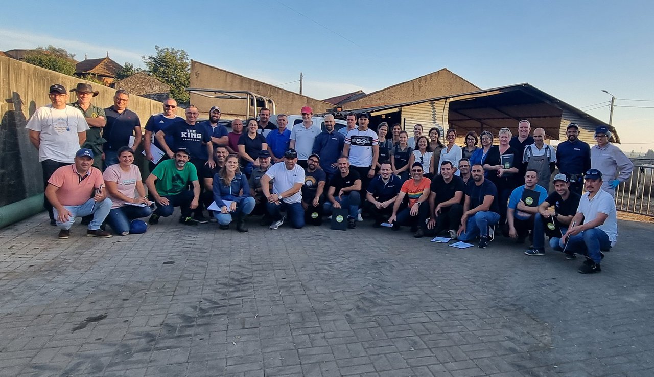 Curso de Clasificación de Movilidad RoMS