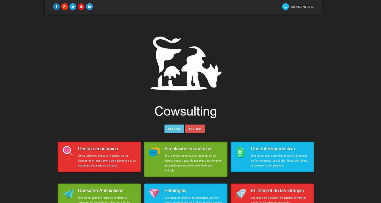 El método de trabajo www.cowsulting.com