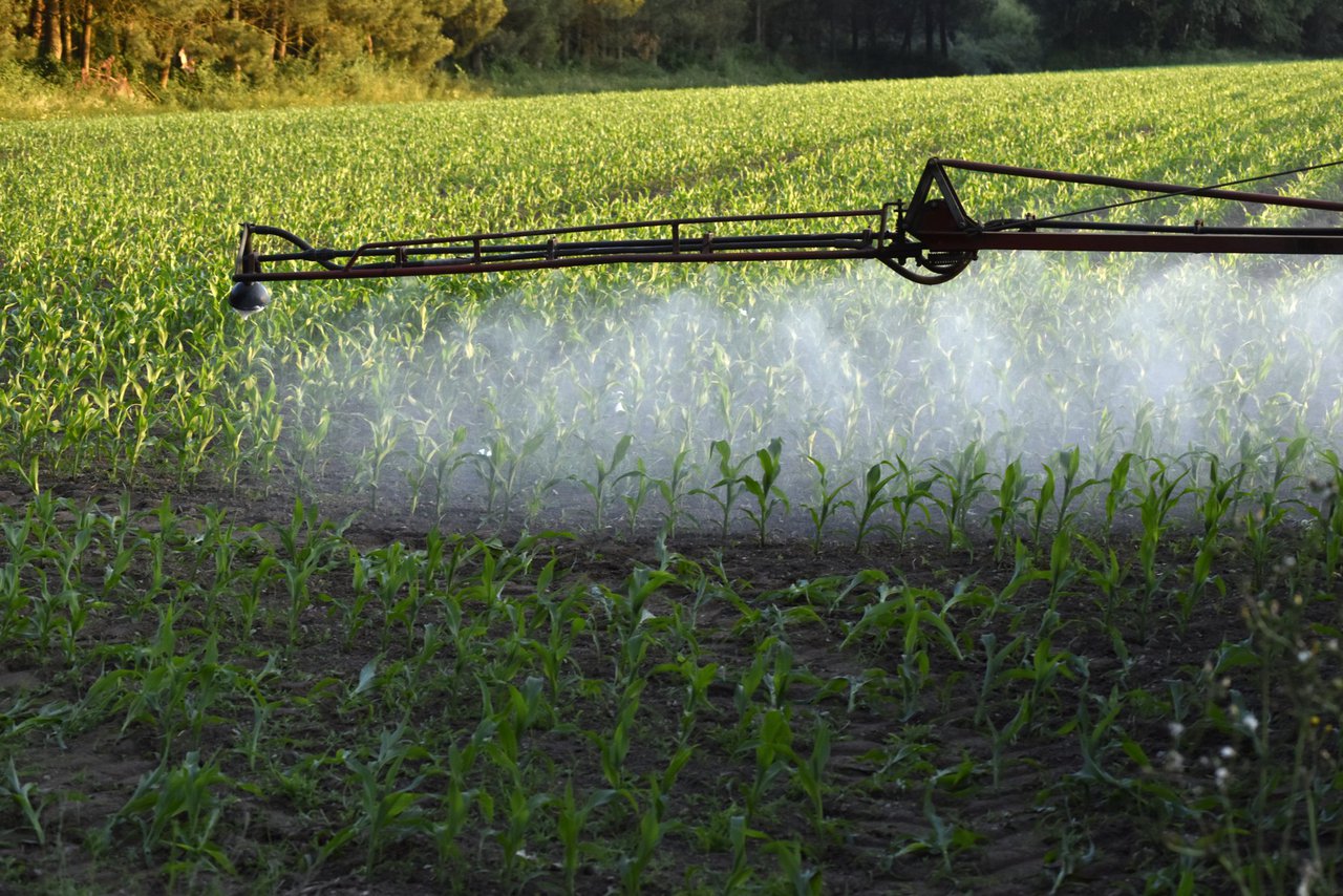 La importancia de un buen uso y manejo en las mezclas de los productos fitosanitarios