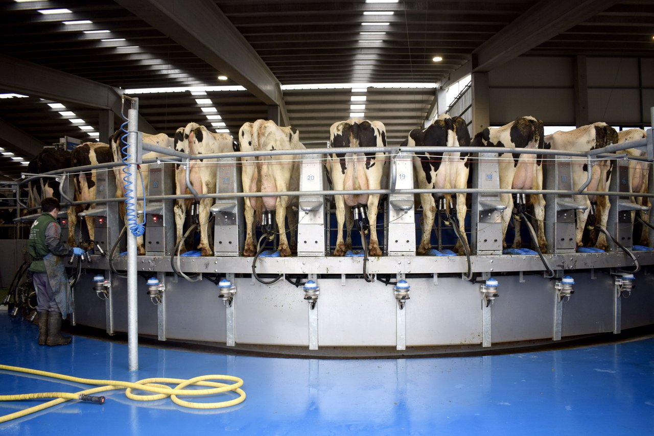 Un alimento de la leche