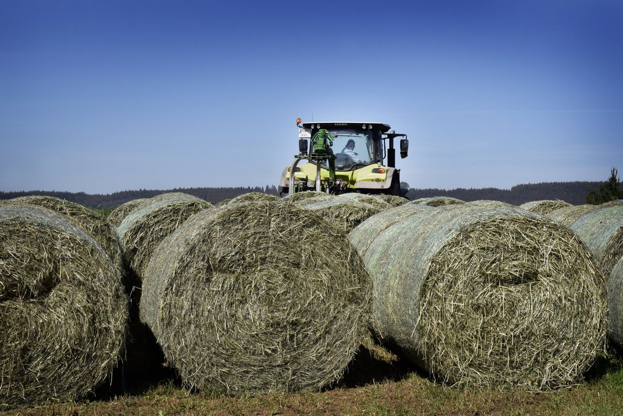 ¿Por qué ensilar hierba? Beneficios nutricionales y económicos de un buen silo de hierba