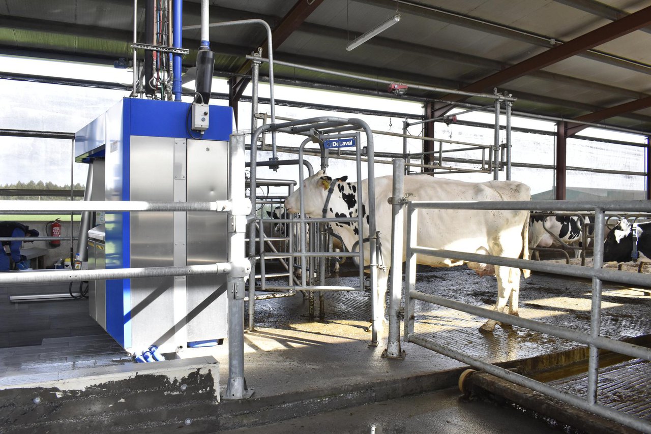 ¿A qué aspectos clave presta atención el sistema Nanta Dairy Robot (II)?