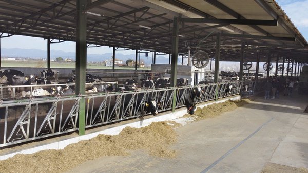 ¿Existe un problema de estrés térmico en las explotaciones lecheras de Galicia?