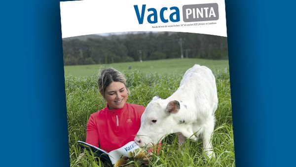 Vaca Pinta 20, ¡también disponible en castellano!