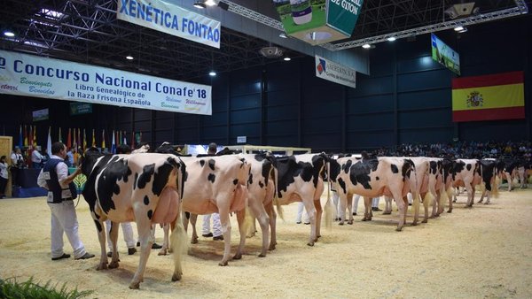Revive todas las secciones del Concurso Nacional de la Raza Frisona