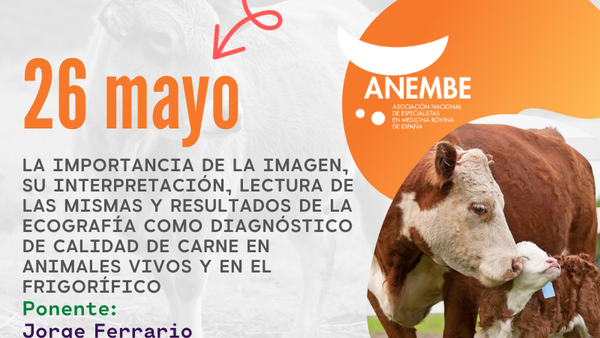 Anembe cierra mañana el ciclo de webinars del mes de mayo