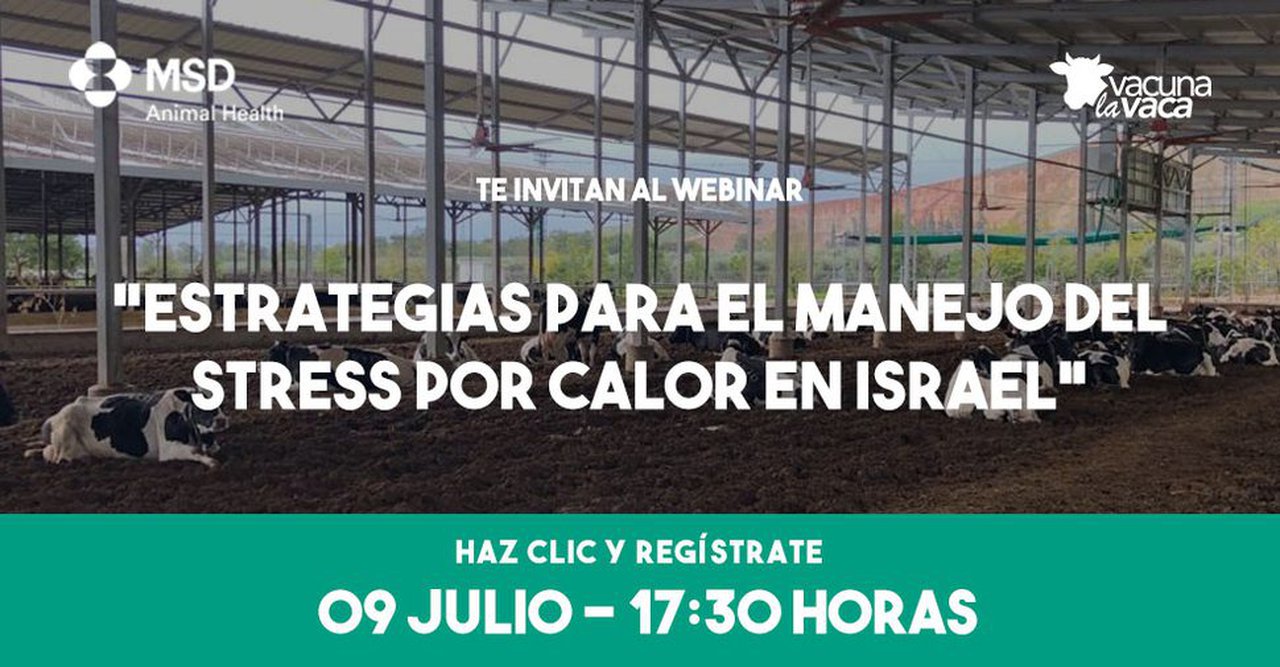 Webinario de MSD Animal Health sobre estrés por calor, este xoves