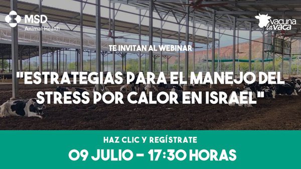 Webinario de MSD Animal Health sobre estrés por calor, este xoves