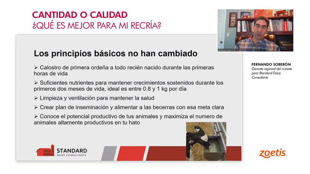 Zoetis ofrece un seminario para especialistas en novillas sobre recría en vacuno lechero