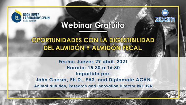 Webinar sobre las oportunidades con la digestibilidad del almidón