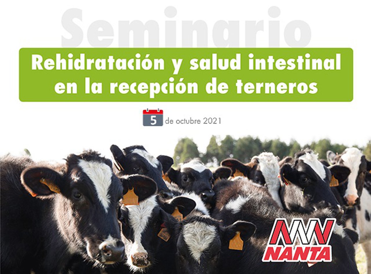 Nanta ofrecerá un webinario sobre rehidratación e saúde intestinal na recepción de xatos