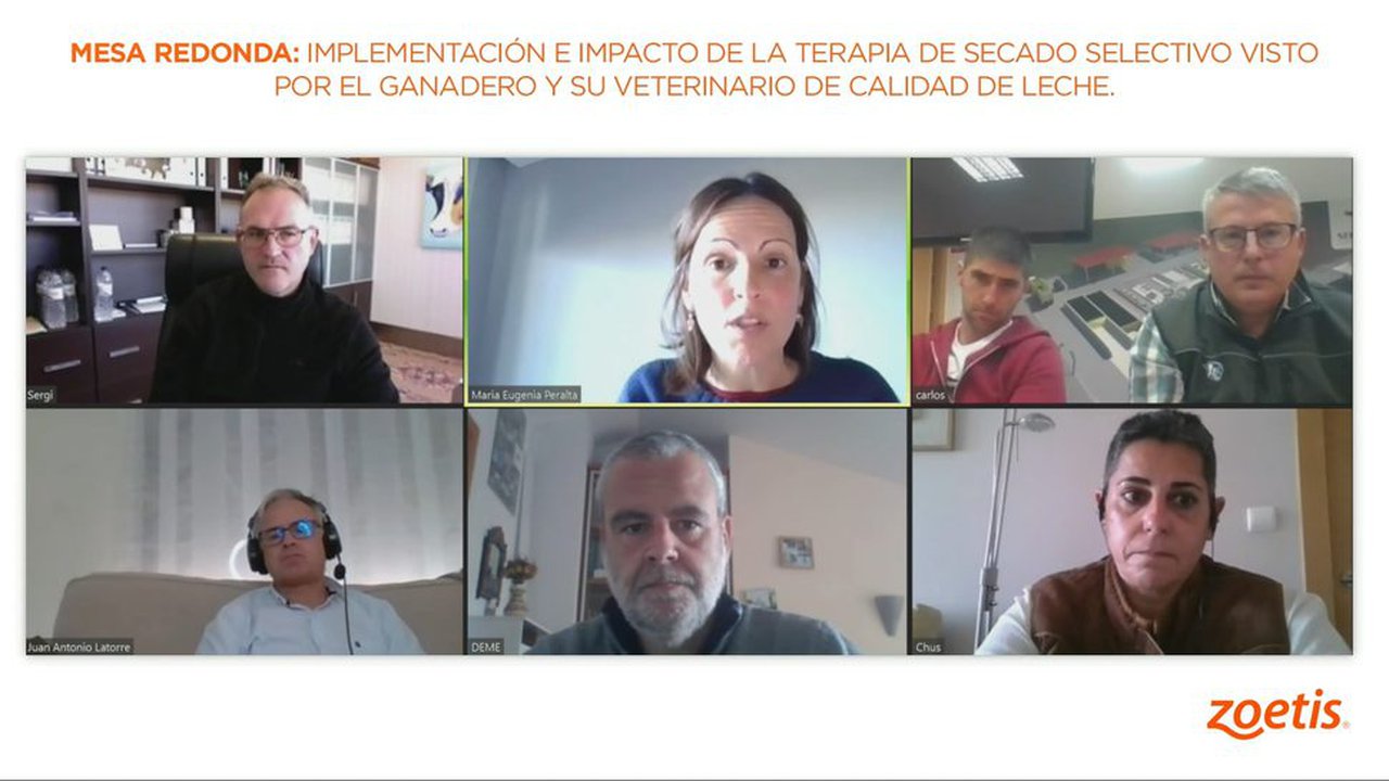 A terapia de secado selectivo protagoniza un webinario de Zoetis