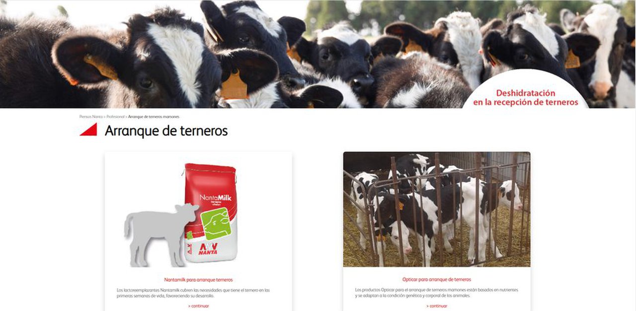 Nanta presenta sus últimos piensos de arranque y nuevos servicios para la recepción de terneros mamones