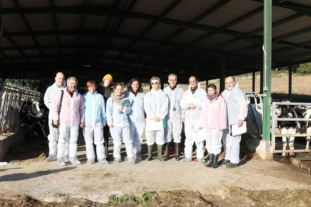 Curso de capacitación no WelFare Quality en Lugo