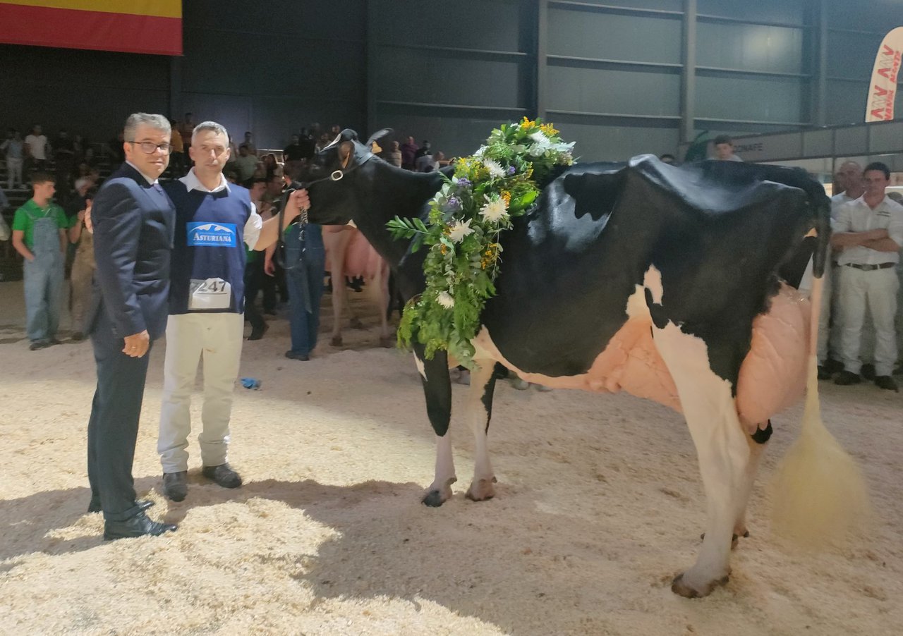 ¡Llinde Ariel Jordan se proclama vaca gran campeona nacional por cuarta vez consecutiva!