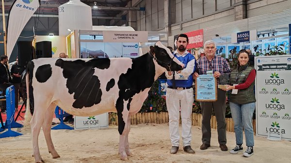 Rey 1239 Chief Divina, novilla gran campeona nacional e internacional en Gandagro 2025