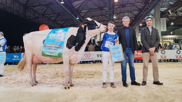 La vaca gran campeona de Gandagro 2025 es Kergo Ozalid 6818