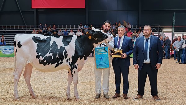 Rey 1346 Dani Negariel se convierte en la gran campeona de terneras y novillas del 45.º Concurso Nacional de la Raza Frisona