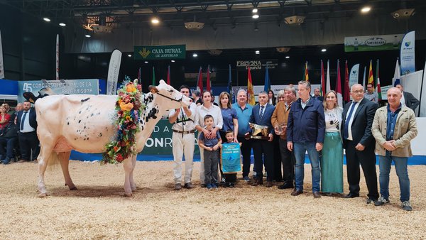 El Concurso Nacional de la Raza Frisona ya presume de nueva gran campeona: Venturo Happen Rosani