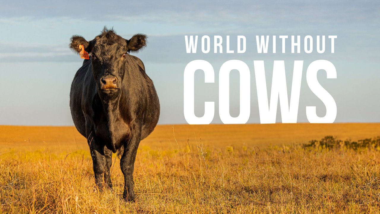 ¿Qué pasaría si no existieran las vacas?