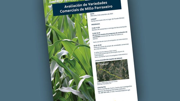 El CIAM organiza una jornada sobre variedades de maíz forrajero en Galicia este miércoles