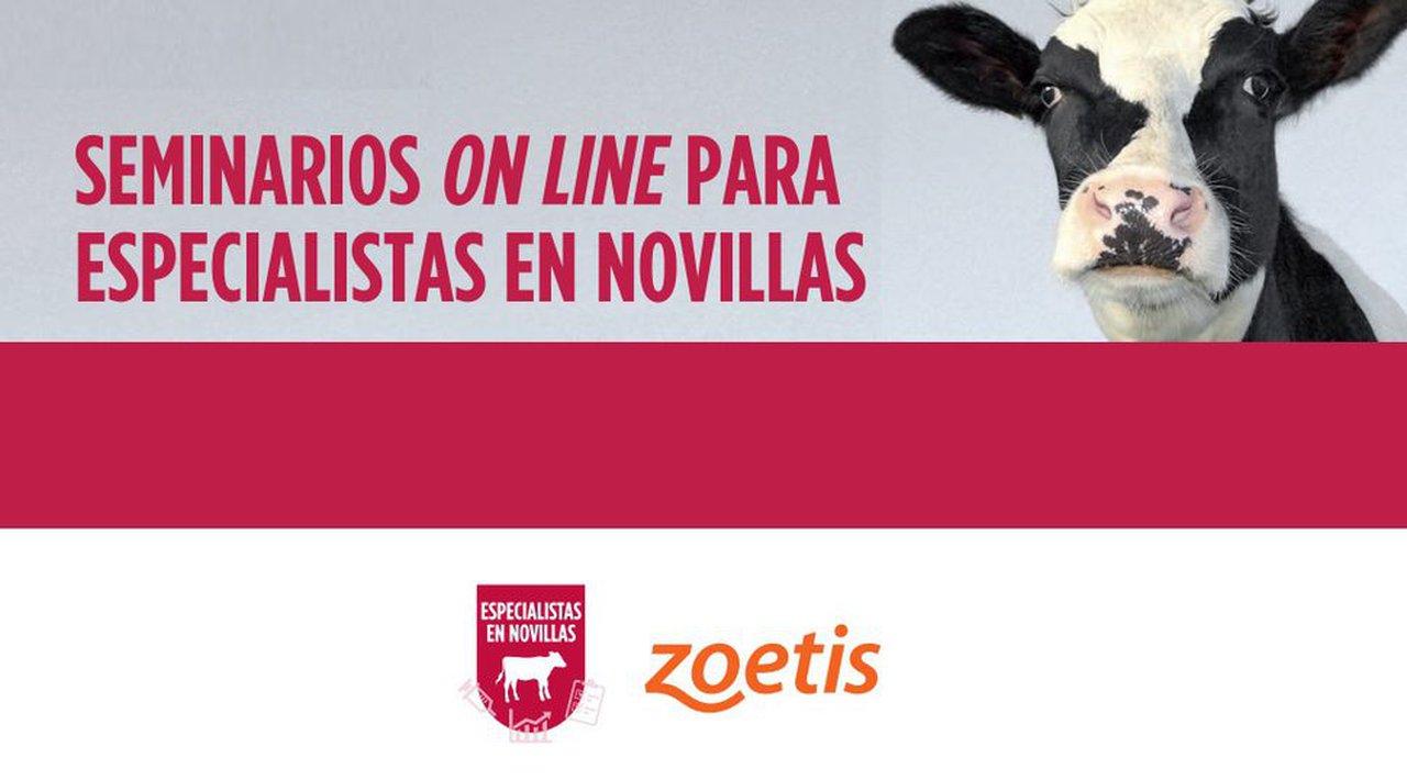 Más de 1.800 profesionales participaron en los seminarios online de Especialistas en Novillas en 2020
