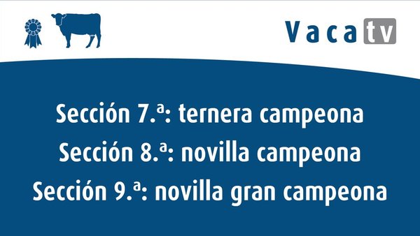 ¡Vuelve a ver aquí las secciones de terneras y novillas!