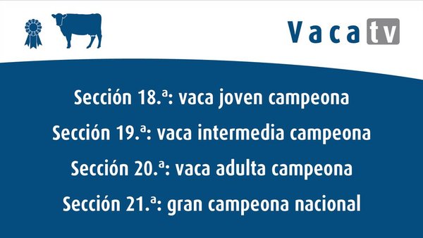 Así os lo contamos en directo