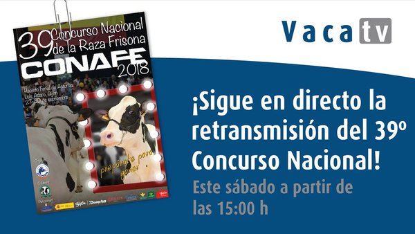 Vaca Pinta, ¡en directo desde Gijón!