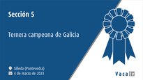 Sección 5. Ternera campeona de Galicia