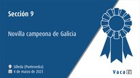 Sección 9. Novilla campeona de Galicia