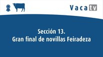 Sección 13. Gran campeonato de novillas Feiradeza 2022