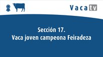 Sección 17. Vaca joven campeona Feiradeza 2022