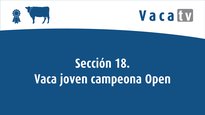 Sección 18. Vaca joven campeona Open Feiradeza 2022