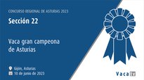 Sección 22: Vaca gran campeona de Asturias