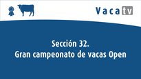 Sección 32. Gran campeonato de vacas Open Feiradeza 2022