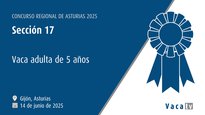 Sección 17: Vaca adulta lactación 5 años